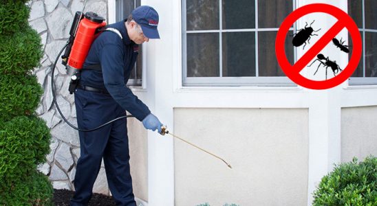 Evka 7 Dezenfeksiyon böcek ilaçlama ve haşere kontrolü — ilaclama-tr.com